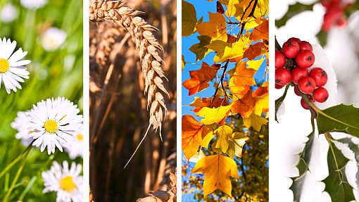 Seasons Of The Year Seasons Of The Year